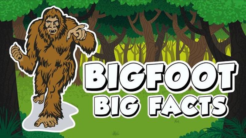 Bigfoot Big Facts